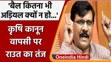 Farm Laws Repeal: Sanjay Raut बोले- बैल कितना भी अड़ियल हो, किसान खेत जुतवा लेता है | वनइंडिया हिंदी