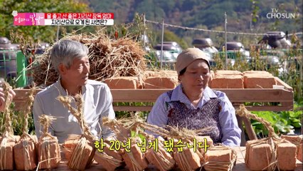 지리산 생활만 20여 년.. 산으로 들어오게 된 계기 TV CHOSUN 20211121 방송