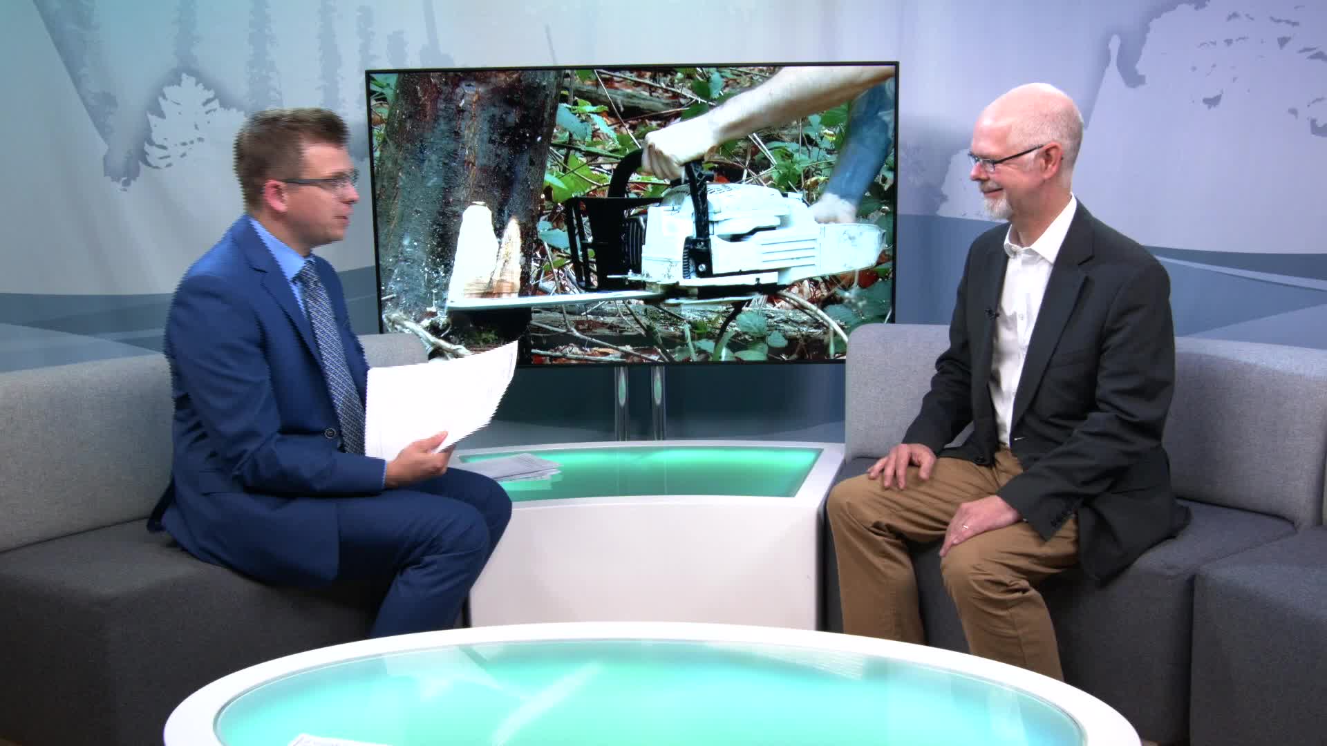 Green campaigner Stuart Jeffery chats to us about Kent's deforestation ...
