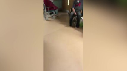 People in corridors in Ashford Hospital