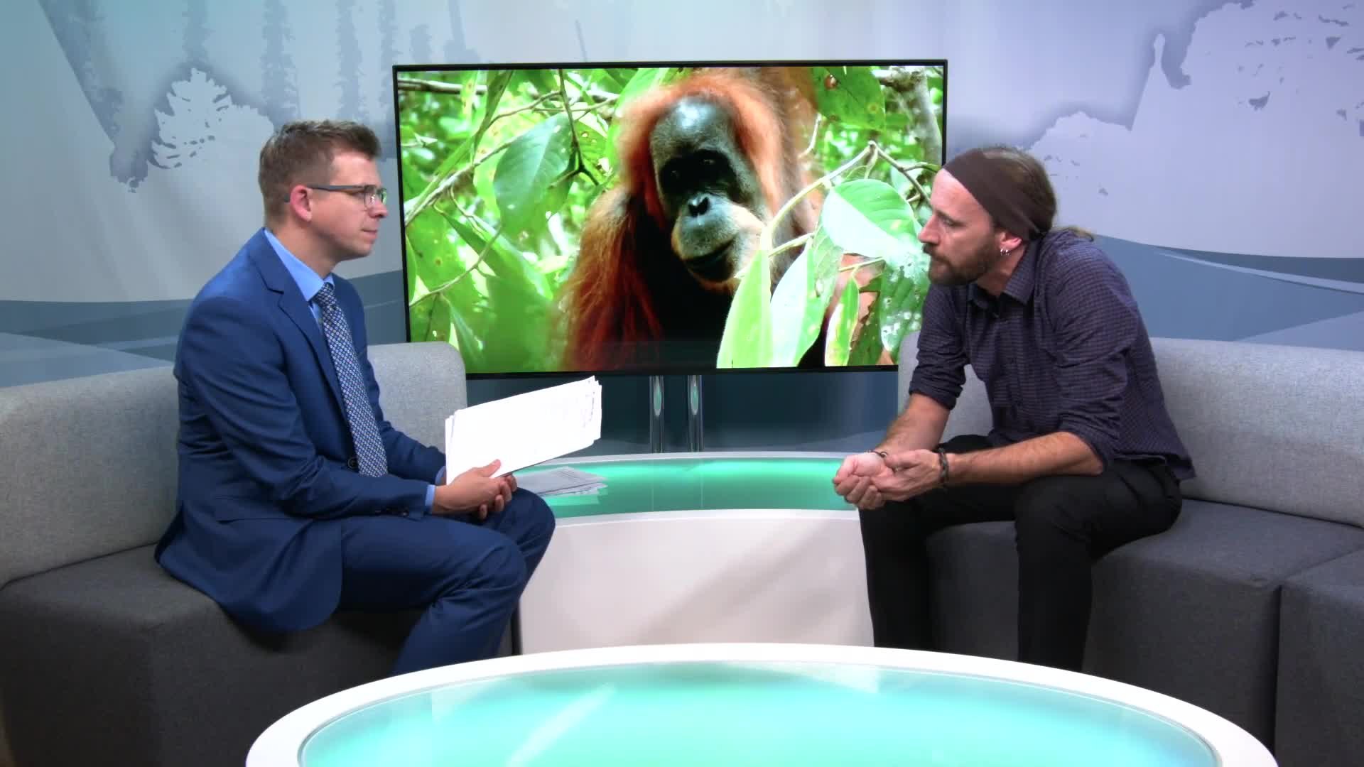 Orangutan danger in South East Asia