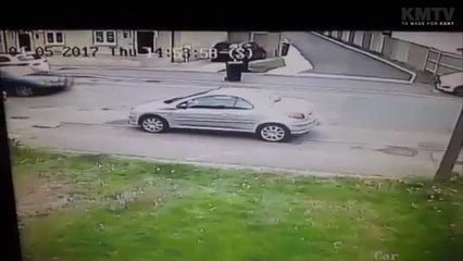 CCTV footage appears to show moment pups are stolen from home