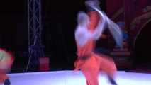 Chinese State Circus comes to Rochester