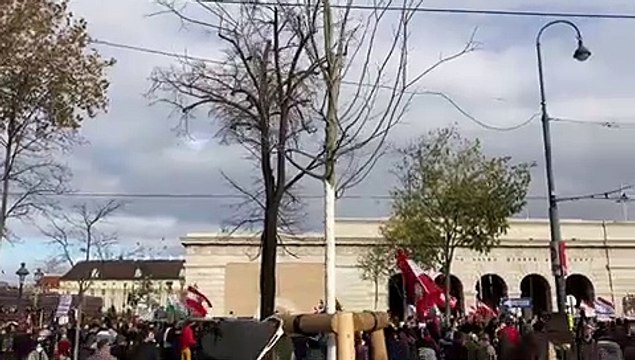 Martin Rutter spricht bei der Corona-Demonstration in Wien