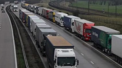 Plans for a huge lorry park have been axed