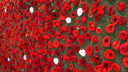 Thousands of knitted poppies in Sheerness