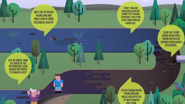 More than half of Kent rivers are polluted with sewage according to a study