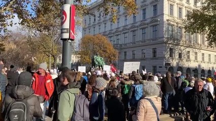 Avusturya'nın başkenti Viyana'da Kovid-19 önlemleri karşıtı protesto