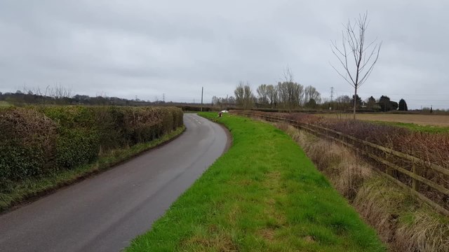 Floral tributes for fatal crash victim
