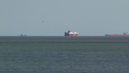 Protestors take over Sheppey docks