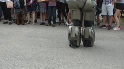 Kent County Show Part 2