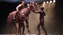 War Horse Gallops into Marlowe Theatre