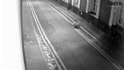 Man drags woman along pavement in Gravesend