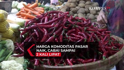 Musim Penghujan, Harga Cabai Kian Pedas!