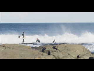 Great White Shark Chases Surfers Out of the Water