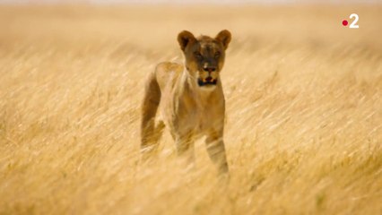 Kalahari, l'autre loi de la jungle - Acte 2