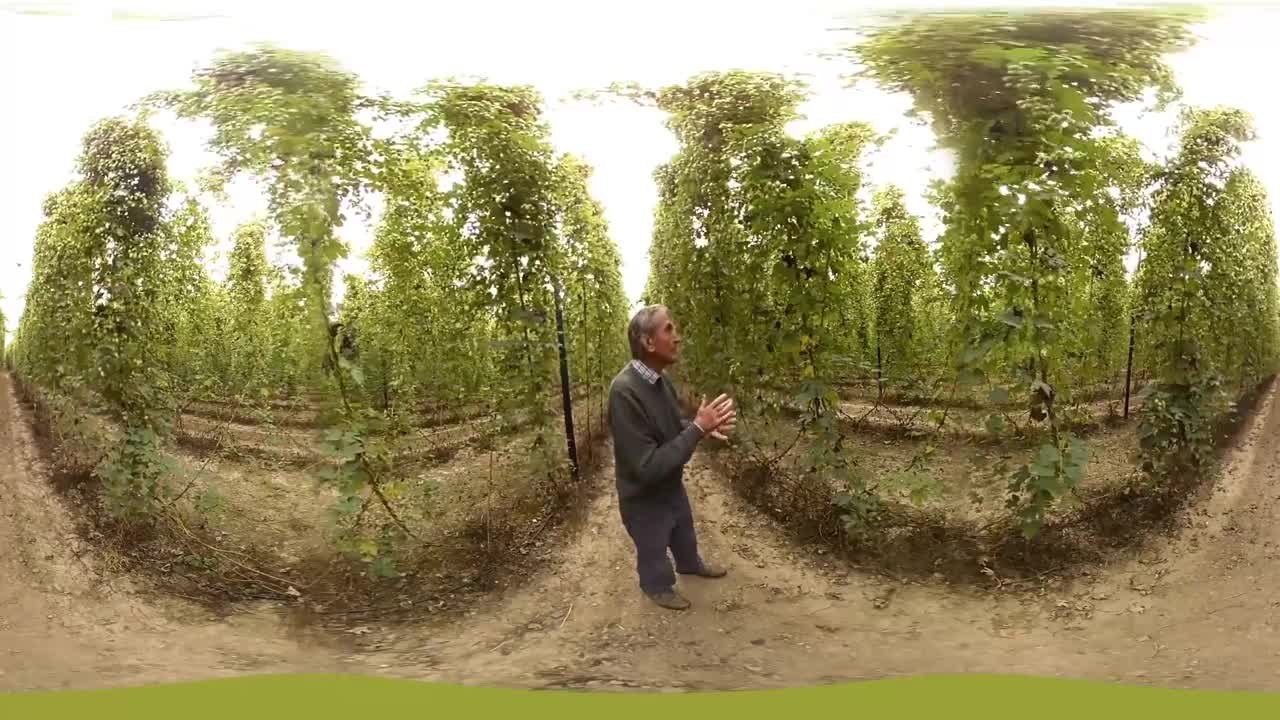 HOPS 360