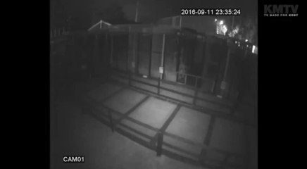 CCTV: Thieves steal macaws from Fenn Bell pub