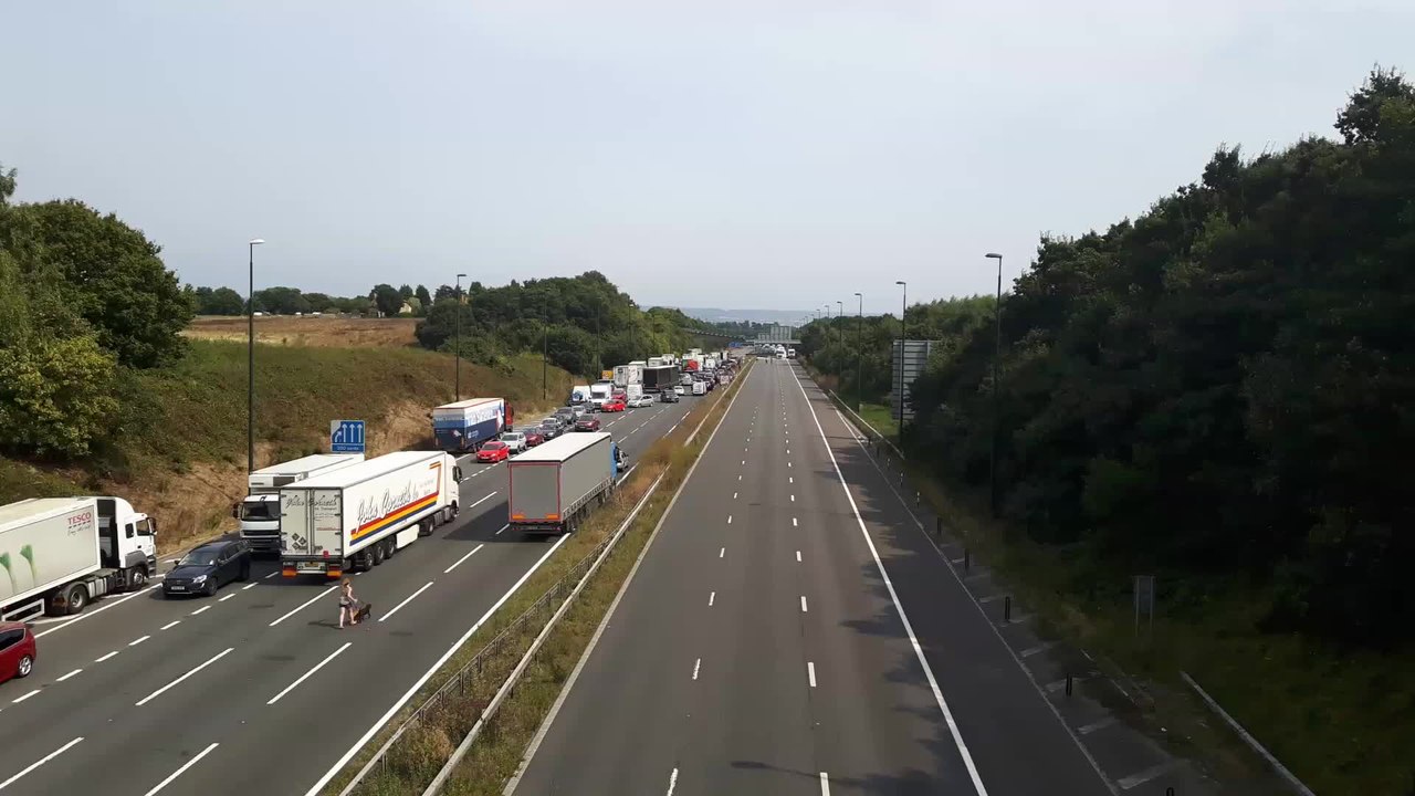 M20 WOMAN WALKING DOG.mov