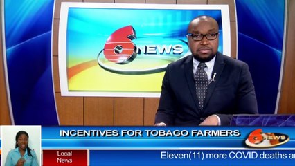 Incentives for Tobago Farmers
