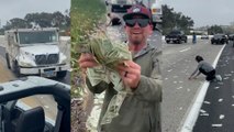 Pluie de billets sur une autoroute californienne : «Il y a de l'argent partout !»