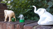 Mysterious china elephants appear in Chilham