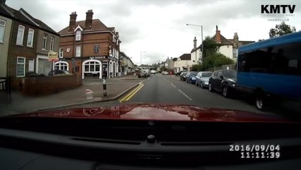 Streetwise cat uses the highway code