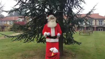 Pilgrims Hospices tree recycling scheme