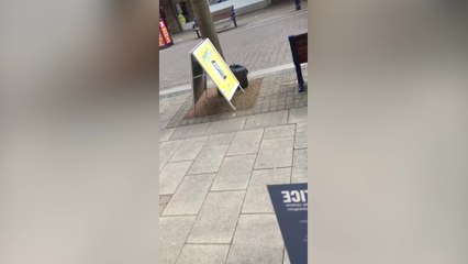 This bag started the bomb scare in Gravesend