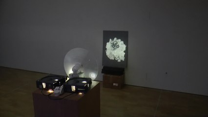 Festival of Projections launches in Canterbury