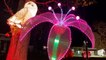 Winter lantern festival mesmerizes children and adults in New York City