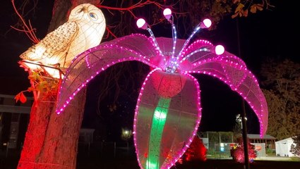 Winter lantern festival mesmerizes children and adults in New York City