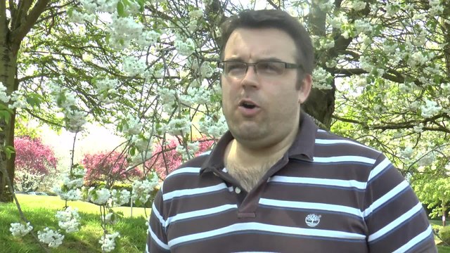 Grammar school pupils walk out over academy plans