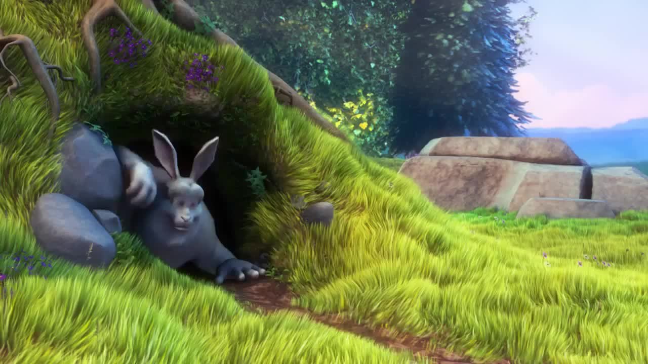 Sample Video