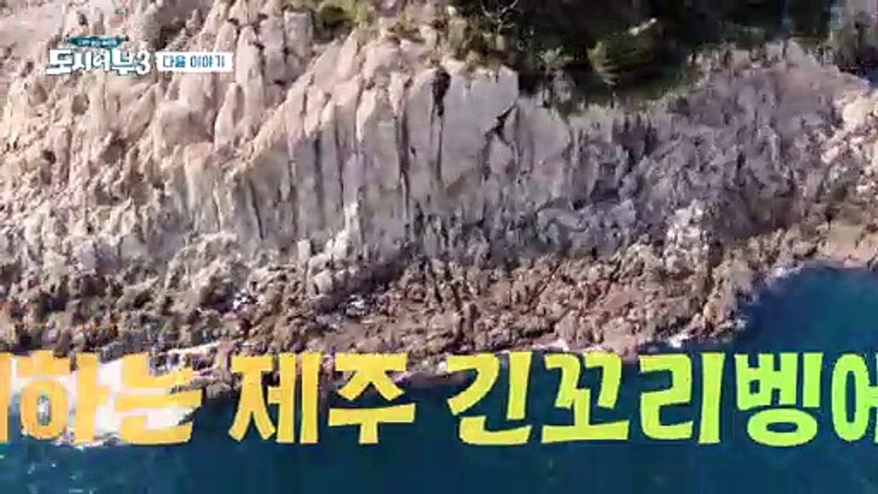 [다음이야기] 사위와 함께하는 우당탕탕 제주 긴꼬리벵에돔 낚시♡