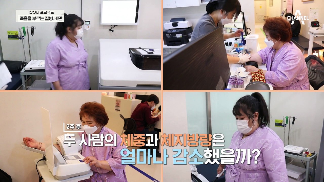 염증 완화와 식욕 조절을 할 수 있는 시서스