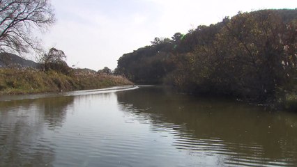 [영상] 깊어가는 가을 우포늪의 정취 / YTN