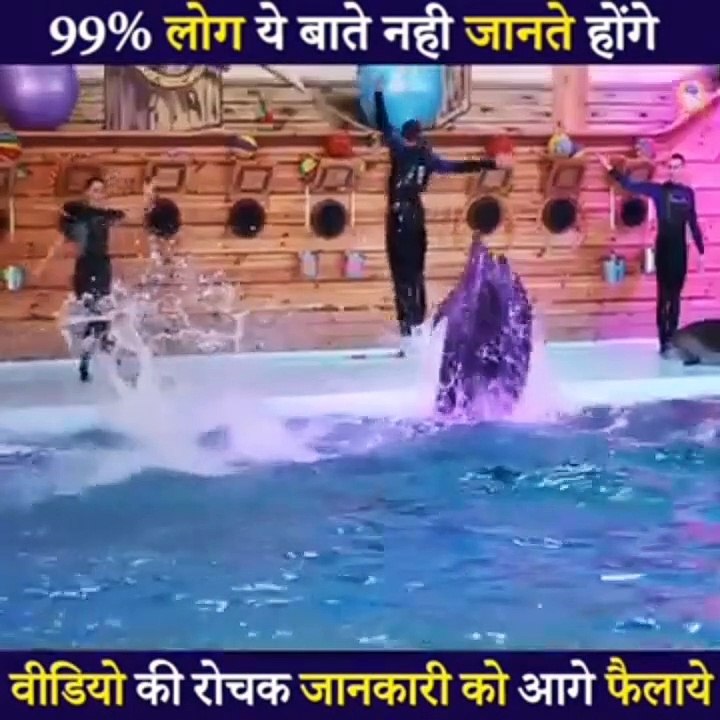 जब एक लड़की से यह जीव बनाने लगा sax relation amazing #sax #omg #dalphin #fish #machli #shorts