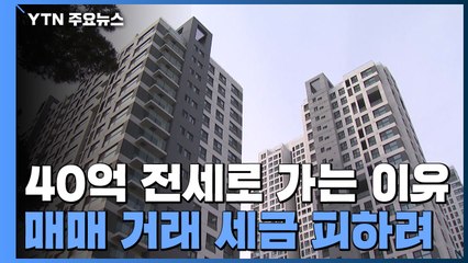 그들이 사는 세상...전세 40억 넘어도 몰리는 이유는? / YTN
