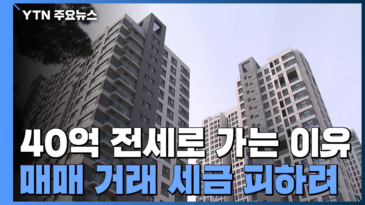 그들이 사는 세상...전세 40억 넘어도 몰리는 이유는? / YTN