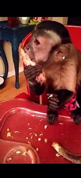 What’s for dinner tonight Mom said she’s tired of asking us (it doesn’t matter) and tired of thinking about it! Share your menu with us!!!