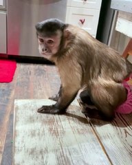 Can I get some attention please!These people do not listen to me around here! Can I get some attention please... wait for it!
