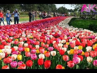 পৃথিবীর ১০টি অনন্য সুন্দর দর্শনীয় স্থান