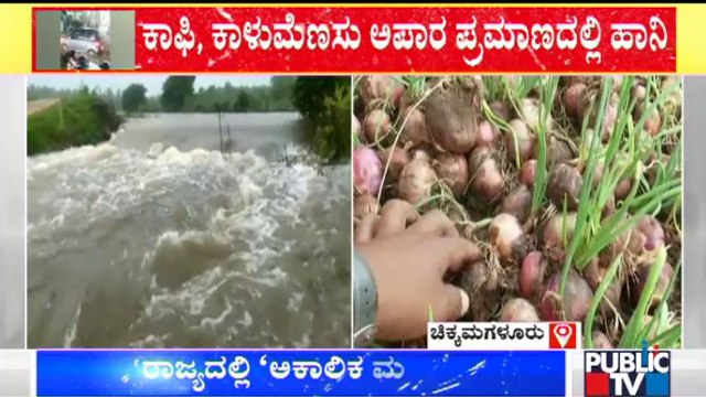 Chikkamagalur: Agricultural Crops Destroyed Due To Heavy Rain