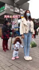 【萌宠】宠物狗成精了，萌宠推荐，播放率超1000000万！