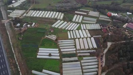 Kuzey Marmara Otoyolu'nun yanındaki seralar böyle görüntülendi