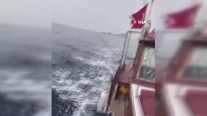 Son dakika! Yunusun tekle ile dansı kamerada