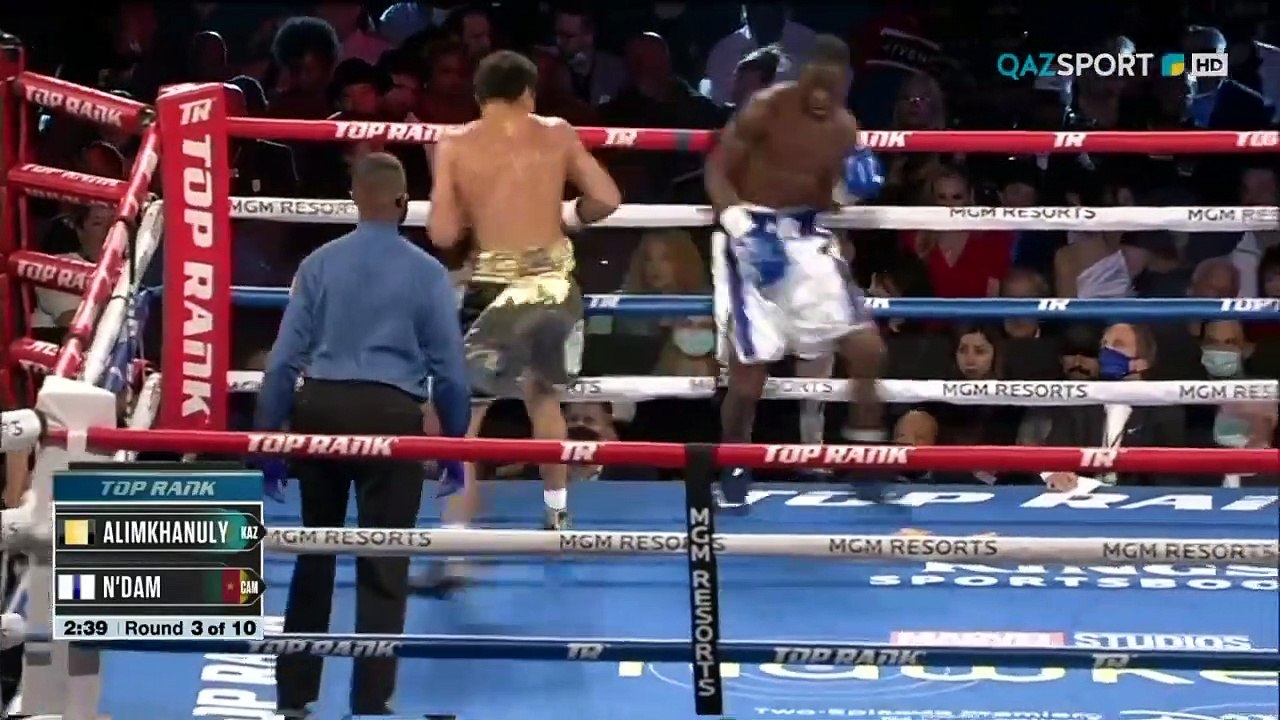 Janibek Alimkhanuly vs Hassan N'Dam N'Jikam Full Fight