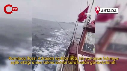 Yunusun tekne ile yarışı görsel şölen oluşturdu