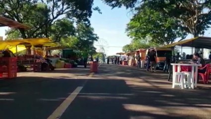 Domingo é dia de comprar frutas e verduras fresquinhas na Feira do Produtor de Cascavel